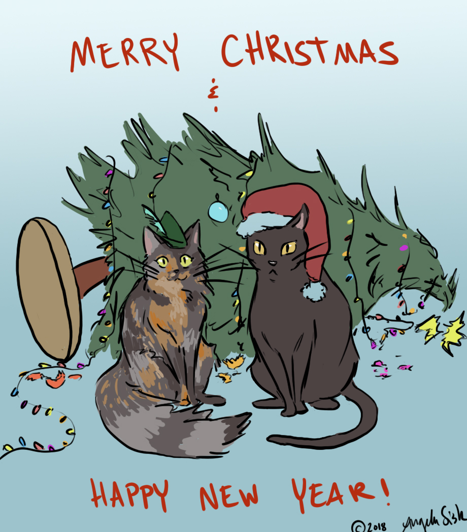 Merry Christmas and Happy New Year!